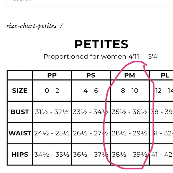 Talbots Petites 100% Silk Women 10 Vintage Abstract Ruffle Pink Slip MIDI Skirt - Picture 15 of 15